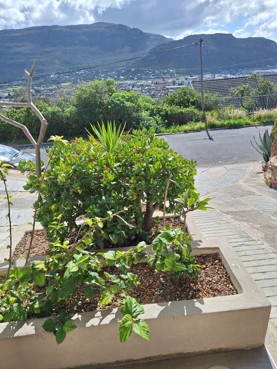 To Let 3 Bedroom Property for Rent in Fish Hoek Western Cape